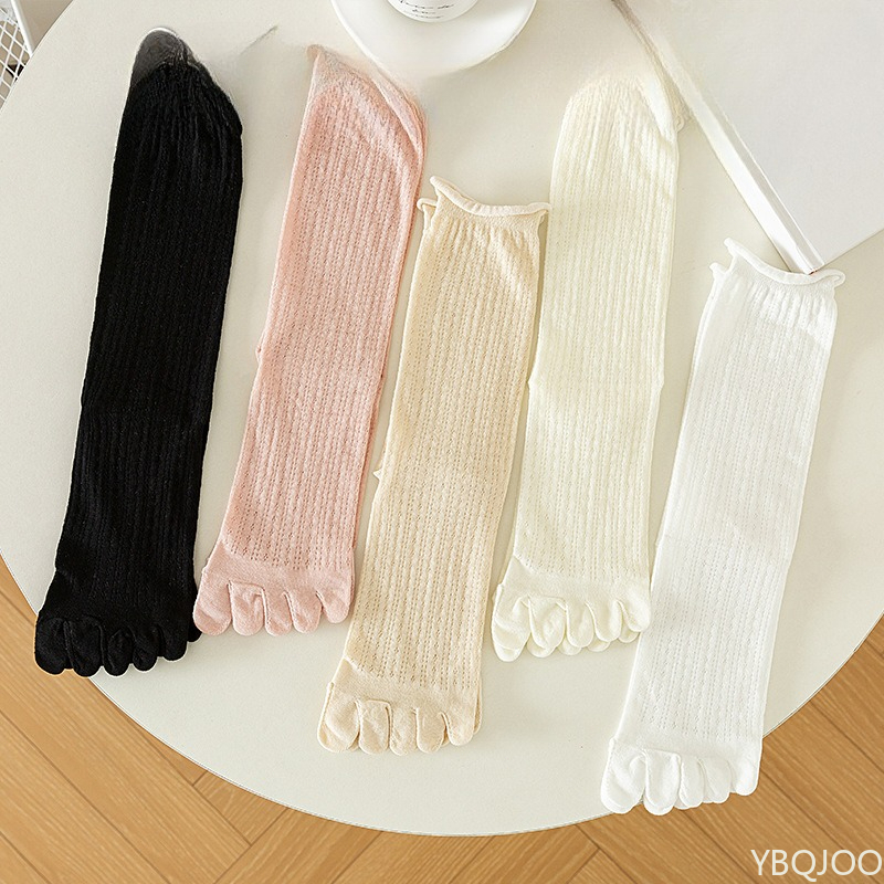 Five finger socks women stacke - Pipe Bending Spring 리뷰 및 가격